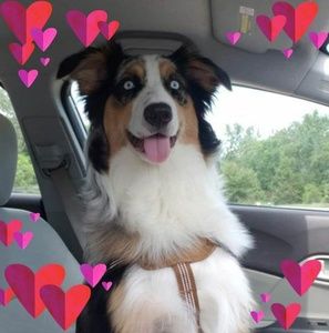 Meet your Posher, Amayah